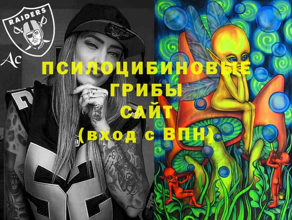 стаф Алексеевка