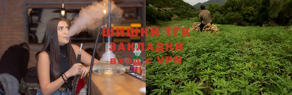 стаф Алексеевка