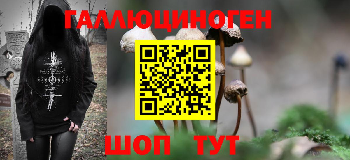 Галлюциногенные грибы GOLDEN TEACHER  Псилоцибиновые грибы Psilocybe  Вход с VPN  Сатка 